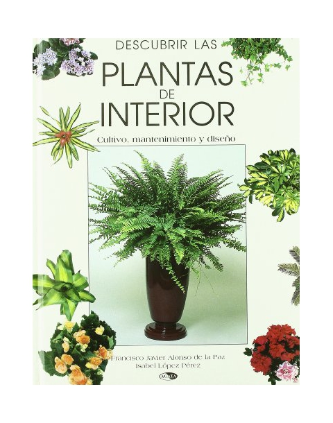 DESCUBRIR LAS PLANTAS DE INTERIOR -AGATA