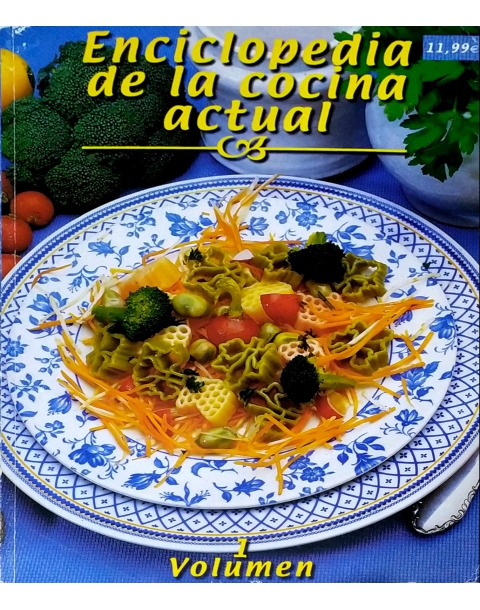 ENCICLOPEDIA DE LA COCINA ACTUAL VOL. I