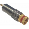 CONECTOR CLAVIJA DE AUDIO MACHO RCA METALICO COLOR ORO Y ROJO